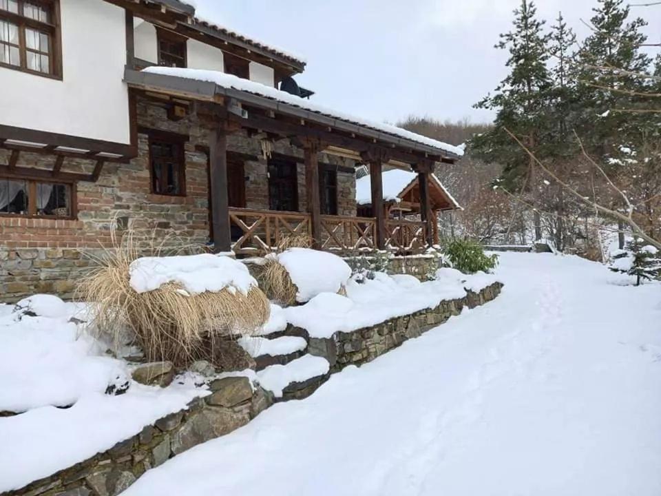 Traditional Cottage - Vila Samovila Delcevo Esterno foto